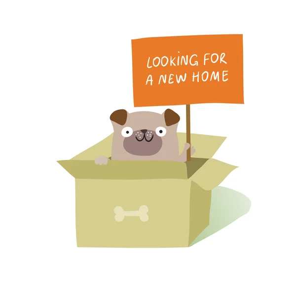 Perro sentado en caja de cartón — Vector de stock