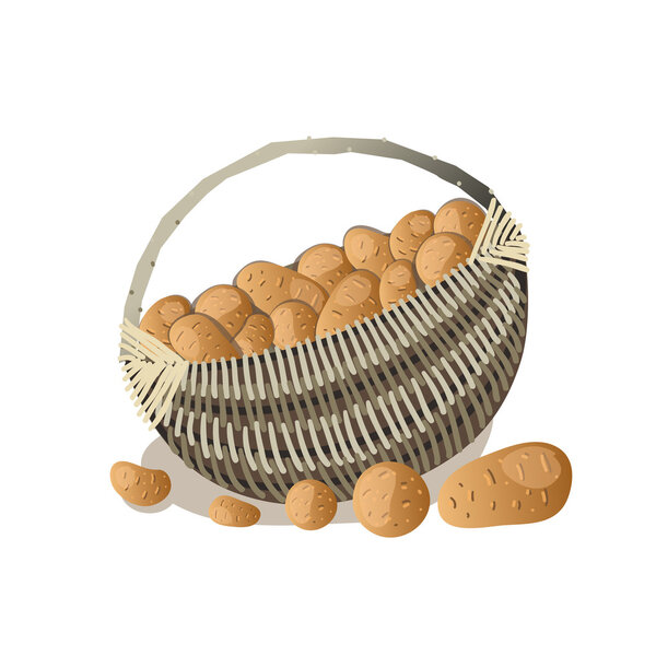  basket full of potatoes tubers