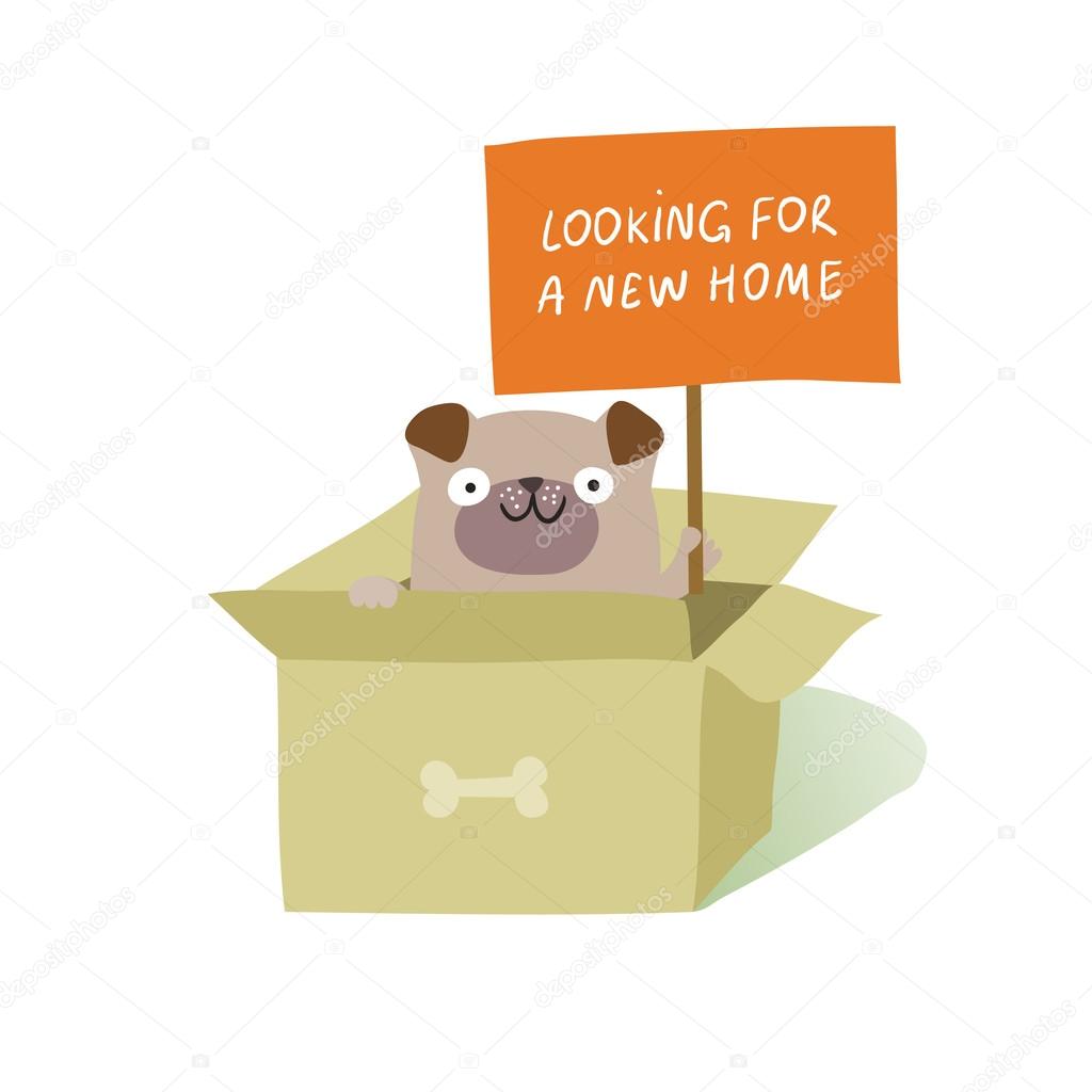 Cute dog sitting in cardboard box and holding a placard Looking for a new home