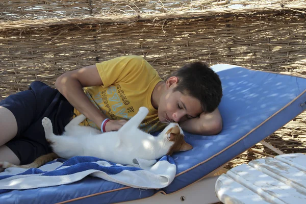 Çocuk bir güneş tembel kedi ile oynarken