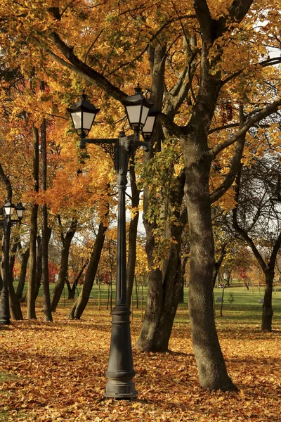 Latarnia w parku miejskim, pokryte żółte liście — Zdjęcie stockowe