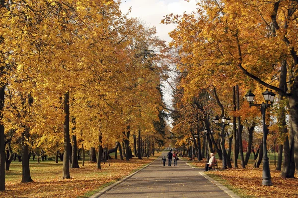 Spaceru w parku miejskim, pokryte żółte liście — Zdjęcie stockowe
