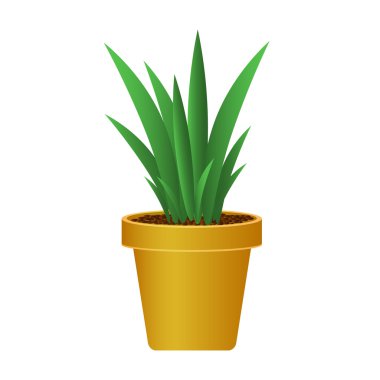 pot vektör çizim bitki