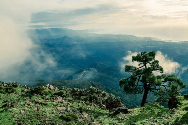  İspanyol yeşil tepelerin pitoresk görünümü 