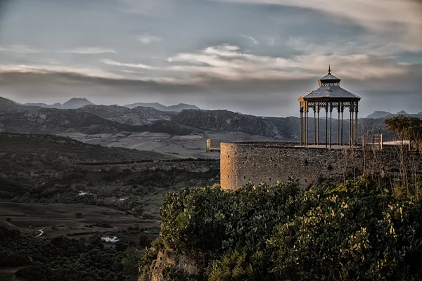 Güzel ağaç dikme manzara dağlarda