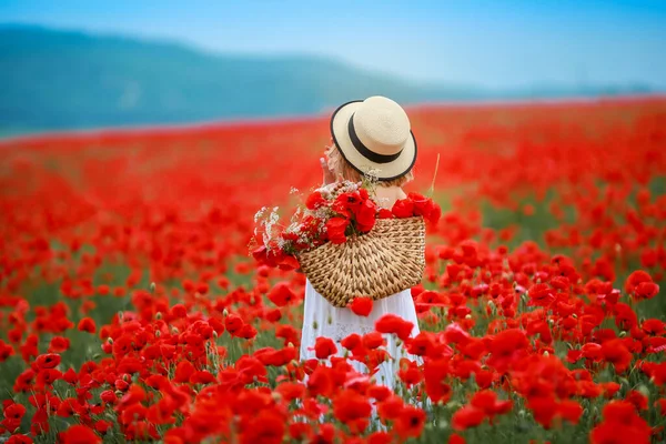 Hátsó nézet egy nőről a vörös mákos mezőn — Stock Fotó