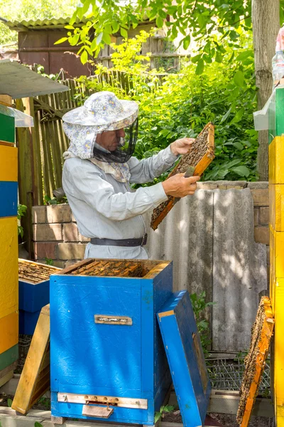 Apicoltore sull'apiario. Apicoltore tirando telaio dall'alveare — Foto Stock