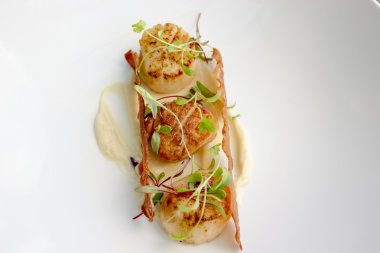 Tarak, armut ve salsify püresi ve pancetta