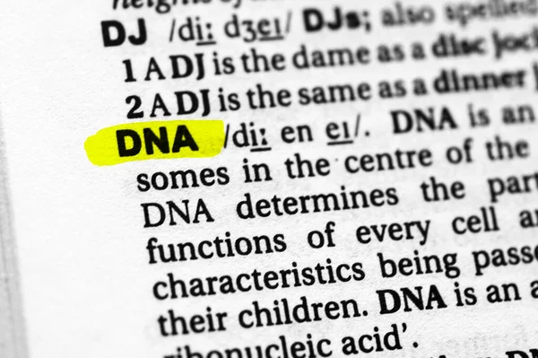 Parole Evidenziate Concetto Significato Del Dna — Foto Stock