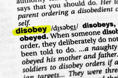 İtaatsizlik kavramı ve anlamı vurgulanmış kelime.