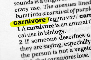 Vurgulanmış kelime etobur kavramı ve anlamı