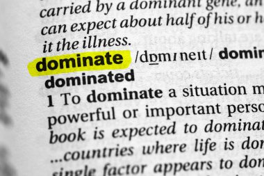 Vurgulanmış kelime konsept ve anlam baskın..