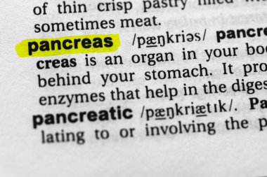 Vurgulanmış kelime pankreas kavramı ve anlamı