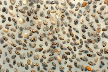 Chia çekirdeğini doku arkaplanı olarak kapat