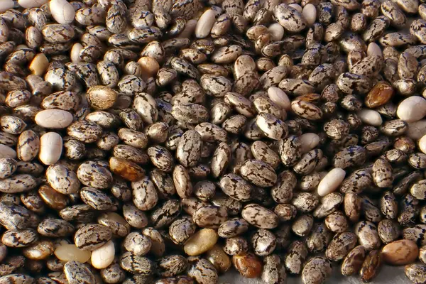  Beyaz arkaplanda izole Chia tohumları