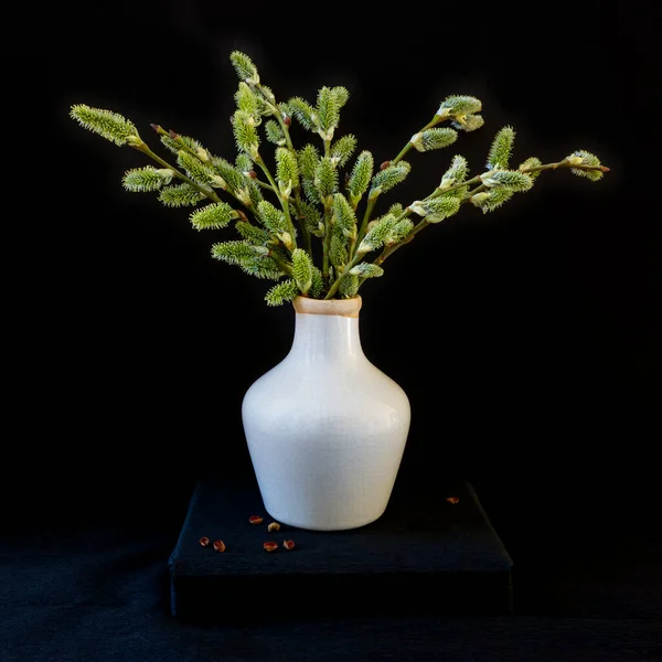 Bahar, söğüt dallarıyla dolu bir buket hayattır.