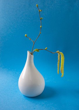 Mavi arka planda taze kedi derisi ve yaprakları olan huş dalları