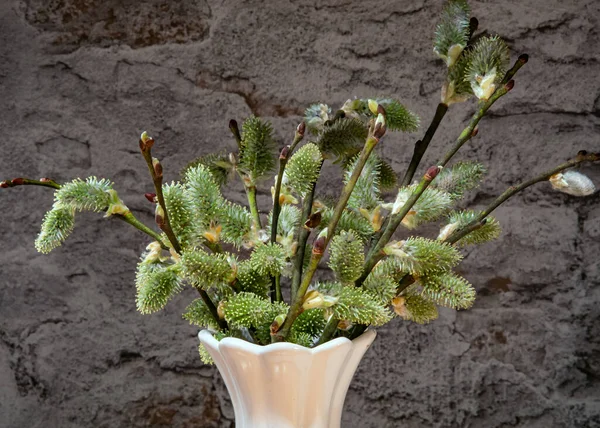 Bahar, söğüt dallarıyla dolu bir buket hayattır.