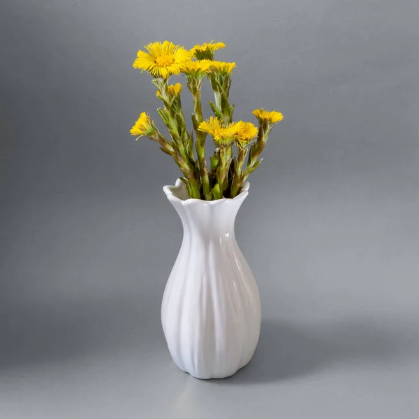 İlkbahar yakın plan sarı çiçekler