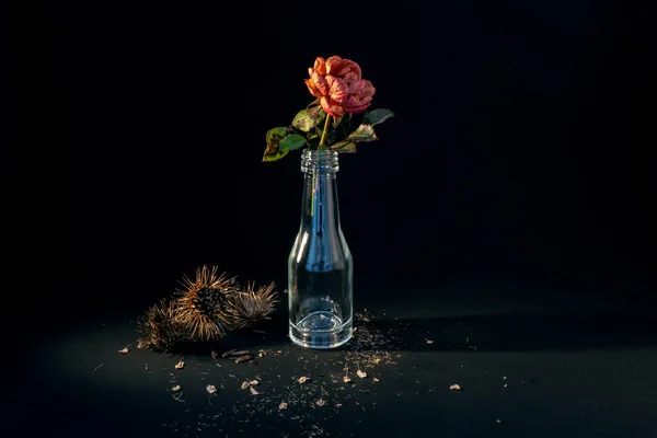 Siyah Üzerine Klasik Çiçekler Solmuş Bir Gül Eski Bir Şalgam — Stok fotoğraf