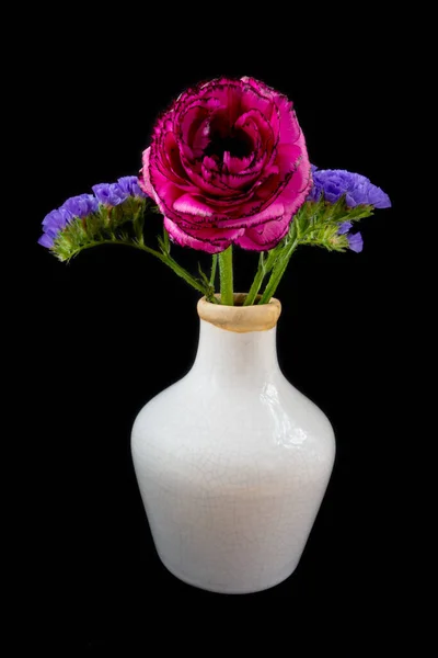 Pink Ranunculus Flowers Vase Black Background — Stock Photo, Image