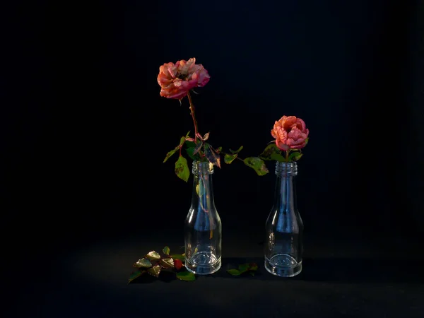 Kuru bitkilerden hayat, siyah üzerine eski çiçekler.