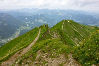Yeşil bitki örtüsü ve çiçeklerle yaz mevsiminde Alpler 'in zirvesinde