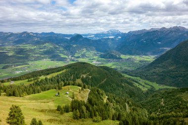 Yeşil bitki örtüsü ve çiçeklerle yaz mevsiminde Alpler 'in zirvesinde