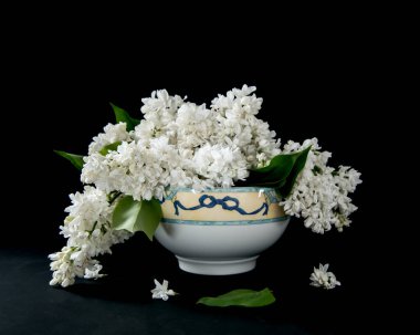 Siyah arkaplandaki beyaz leylak dalları. Masada düşmüş leylak çiçekleri.