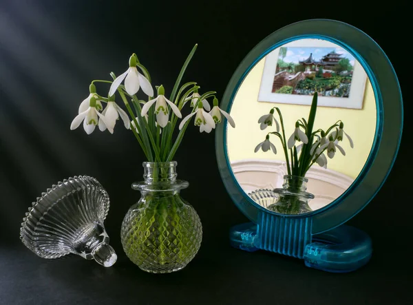 Siyah arkaplanda detaylı deseni olan sarı gül çiçeği