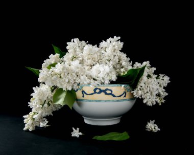 Siyah arka planda vazoda beyaz leylak.