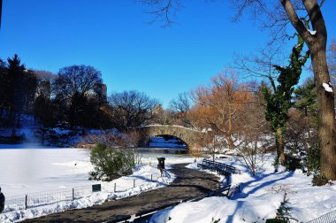 Manhattan View doğal rengini