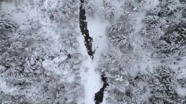 Karla kaplı ağaçlar ve manzaralı dağ doğasıyla çevrili kış harikalar diyarında nehrin kenarında yürüyen insanların bulunduğu karlı orman patikasının en üst görüntüsü..