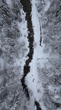 Karlı ağaçların arasından geçen karanlık kıvrımlı nehirli kış ormanı manzarası. Dağlardaki donmuş manzaranın manzarası..