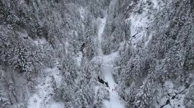 Karla kaplı ağaçlar ve dağlarla çevrili kış yolu boyunca yürüyen insanların karlı orman manzarası huzurlu bir yolculuk ve doğa manzarası yaratıyor..