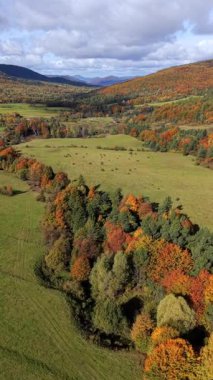 Uçsuz bucaksız sonbahar vadisinde renkli ağaçlar, yeşil çayırlar ve yuvarlanan tepeler. Canlı yapraklarla ve dağların üzerinde dramatik bulutlarla dolu manzaralı sonbahar manzarası..
