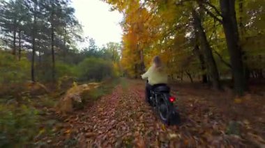 Dinamik FPV 'nin sonbahar yapraklarıyla kaplı ormanda motosiklet süren kadın görüntüsü. Manzaralı sonbahar manzarası, rahat macera ve sinematik yaşam tarzı..
