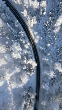 Karlı kış ormanlarında süzülen manzaralı yol manzarası