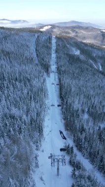 Kış dağlarındaki karlı çam ormanlarından geçen kayak kaldırma hattının sinematik hava aracı görüntüsü. Seyahat, doğa ve tatil projeleri için mükemmel..