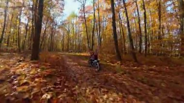Renkli sonbahar yapraklarıyla kaplı orman patikası boyunca motosiklet süren bir kadının sinematik FPV görüntüsü. Manzaralı sonbahar manzarası seyahat, macera ve yaşam tarzı projeleri için mükemmel.