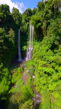FPV insansız hava aracı uçuşu yemyeşil ormanda ve Endonezya, Bali 'deki Sekumpul Şelalesi' nin çağlayan akışında çarpıcı tropikal manzaraları yakalıyor..
