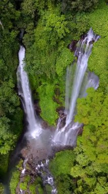 Endonezya, Bali 'deki tropik şelalenin insansız hava aracı görüntüsü. Büyüleyici orman sahnesi, çağlayan akarsular ve yemyeşil egzotik bitki örtüsüyle..