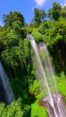 Endonezya, Bali 'deki Sekumpul Şelalesi üzerinde FPV insansız hava aracı dalışı. Tropikal ormanın ve güçlü çağlayan suyun havadan görünüşü doğa, seyahat ve macera temaları için mükemmeldir..