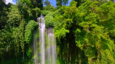 Endonezya, Bali 'deki Sekumpul Şelalesi üzerinde FPV insansız hava aracı dalışı. Tropikal ormanın ve güçlü çağlayan suyun havadan görünüşü doğa, seyahat ve macera temaları için mükemmeldir..