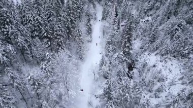 Karla kaplı ağaçlar ve dağlarla çevrili kış yolu boyunca yürüyen insanların karlı orman manzarası huzurlu bir yolculuk ve doğa manzarası yaratıyor..