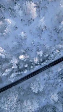 Buzlu ağaçların arasından geçen taze karla kaplı bir kış ormanının tepeden aşağı insansız hava aracı görüntüsü. Doğa, seyahat, vahşi doğa ve kış atmosferini gösteren manzaralı soğuk sezon manzarası.
