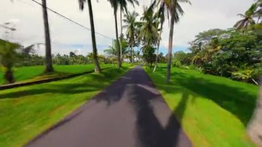 Dinamik FPV insansız hava aracı Bali, Endonezya 'daki yemyeşil pirinç tarlaları arasında palmiye çizgili kırsal yol boyunca uçuyor. Hızlı sinematik hareket tropikal kırsal, doğa ve seyahat maceralarını gözler önüne seriyor..