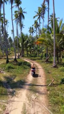 Tayland 'da palmiye ağaçlarıyla çevrili kumlu tropikal yolda scooter süren bir kadının hava görüntüsü. Güneydoğu Asya 'da yaz yolculuğu macera sahnesi.