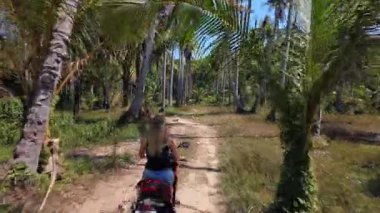 Tayland 'da palmiye ağaçlarıyla çevrili kumlu tropikal yolda scooter süren bir kadın. Güneydoğu Asya 'da yaz yolculuğu macera sahnesi.