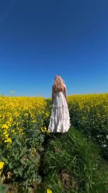 Güneşli yaz gününde sarı kolza tohumu tarlasında yürüyen bir kadının sinematik FPV görüntüsü. Doğa, özgürlük ve yavaş yaşam temaları için huzurlu kırsal yaşam tarzı sahneleri.